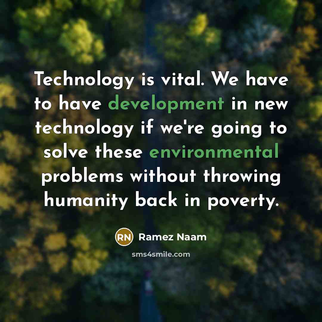 “Technology is vital. We have to have development in new technology if we're going to solve these environmental problems without throwing humanity back in poverty.” quote by Ramez Naam