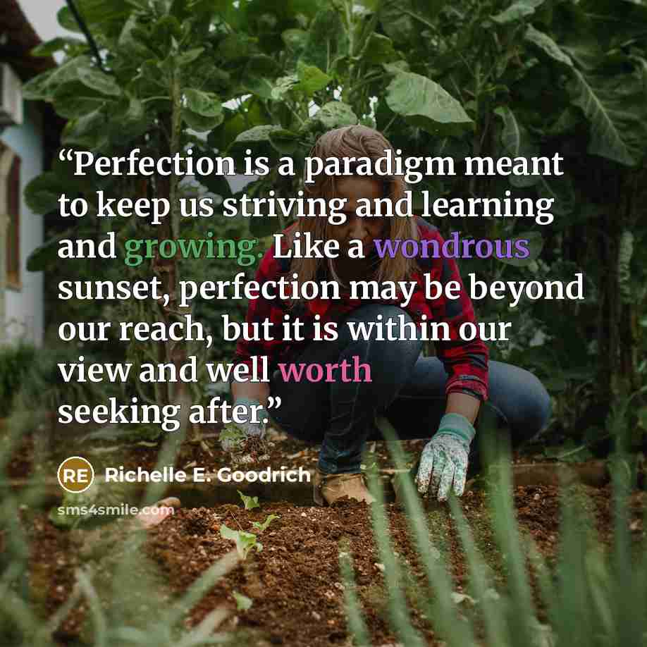 “Perfection is a paradigm meant to keep us striving and learning and growing. Like a wondrous sunset, perfection may be beyond our reach, but it is within our view and well worth seeking after.” quote by Richelle E. Goodrich