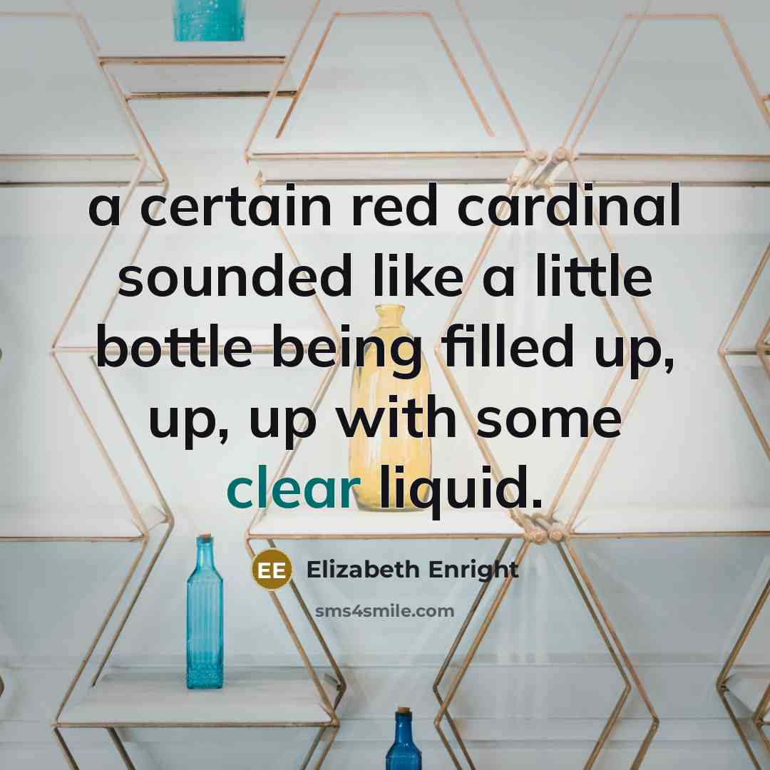 “a certain red cardinal sounded like a little bottle being filled up, up, up with some clear liquid.” quote by Elizabeth Enright