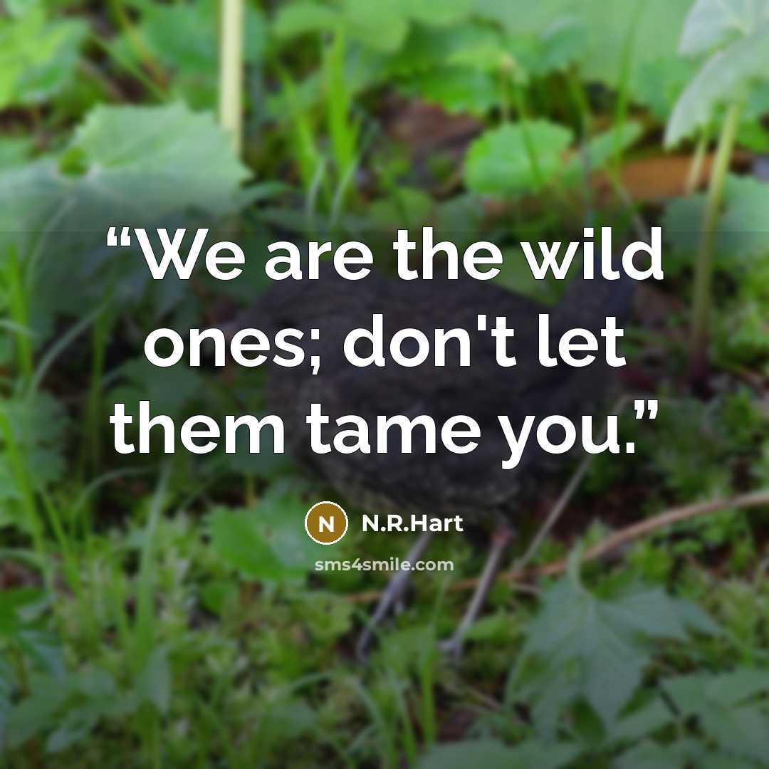 “We are the wild ones; don't let them tame you.” quote by N.R.Hart