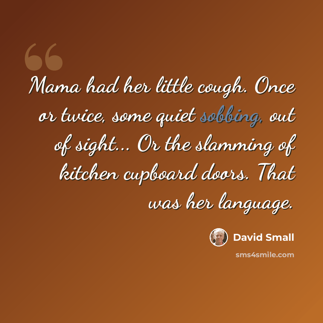 “Mama had her little cough. Once or twice, some quiet sobbing, out of sight... Or the slamming of kitchen cupboard doors. That was her language.” quote by David Small