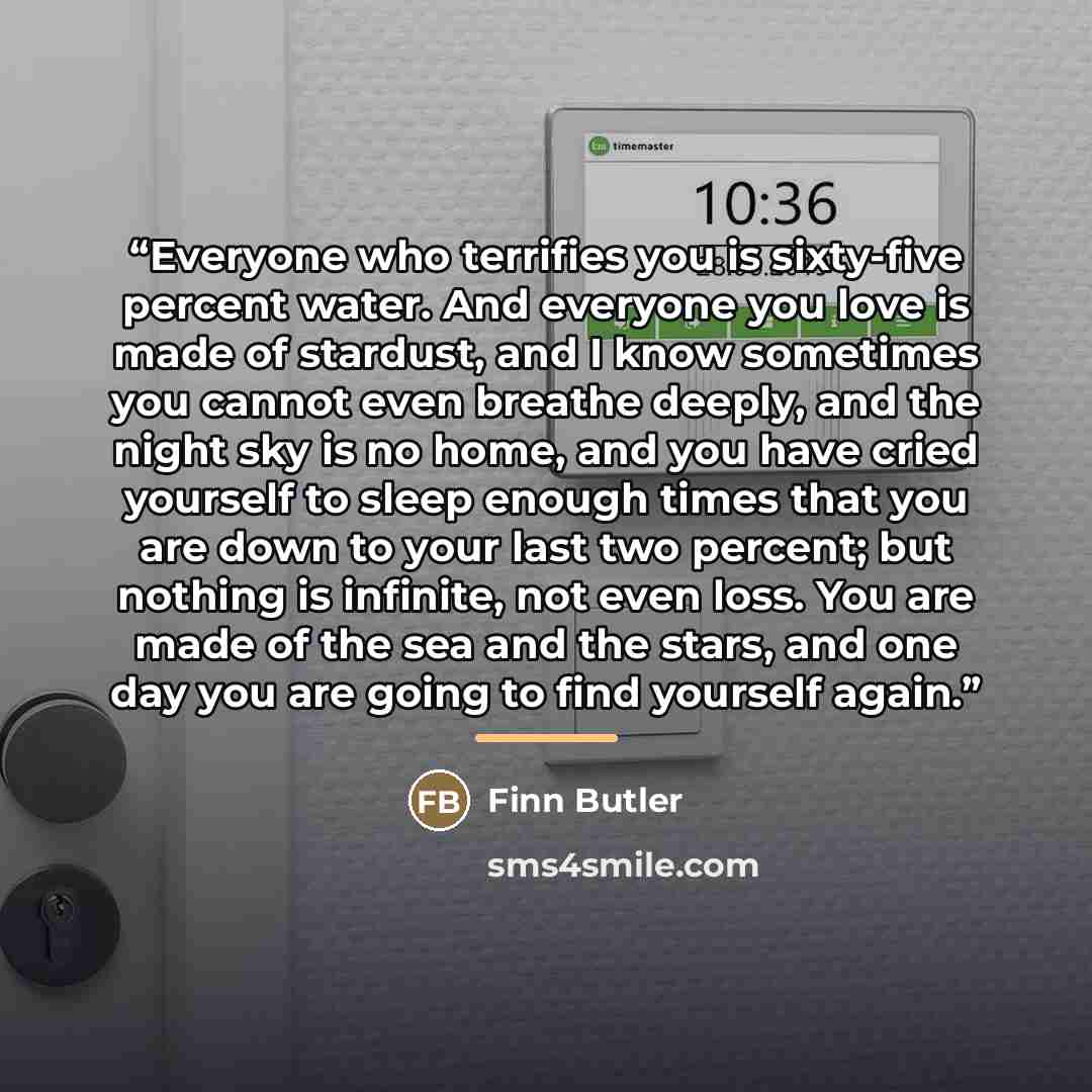 “Everyone who terrifies you is sixty-five percent water. And everyone you love is made of stardust, and I know sometimes you cannot even breathe deeply, and the night sky is no home, and you have cried yourself to sleep enough times that you are down to your last two percent; but nothing is…” quote by Anonymous
