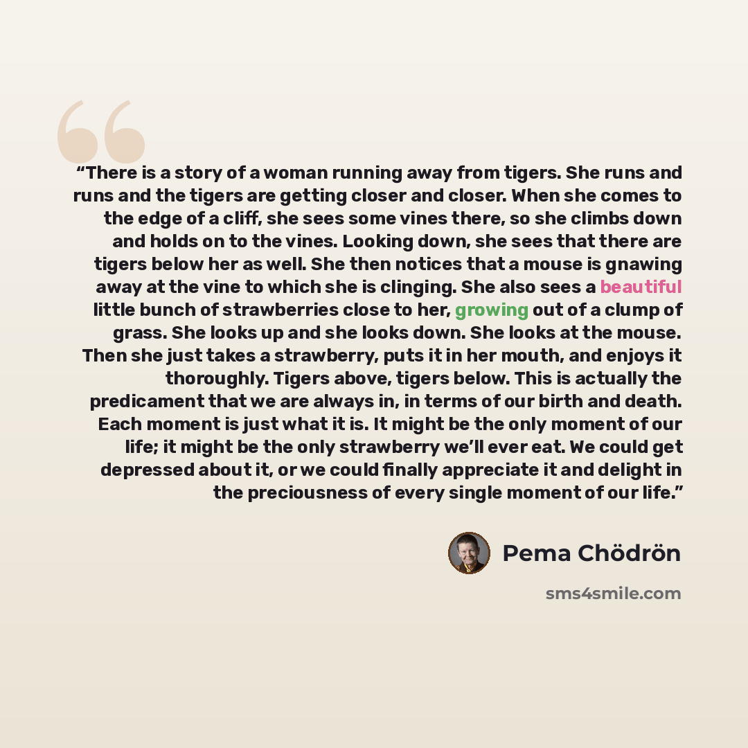 “There is a story of a woman running away from tigers. She runs and runs and the tigers are getting closer and closer. When she comes to the edge of a cliff, she sees some vines there, so she climbs down and holds on to the vines. Looking down, she sees that there are tigers below her as well. She…” quote by Pema Chödrön