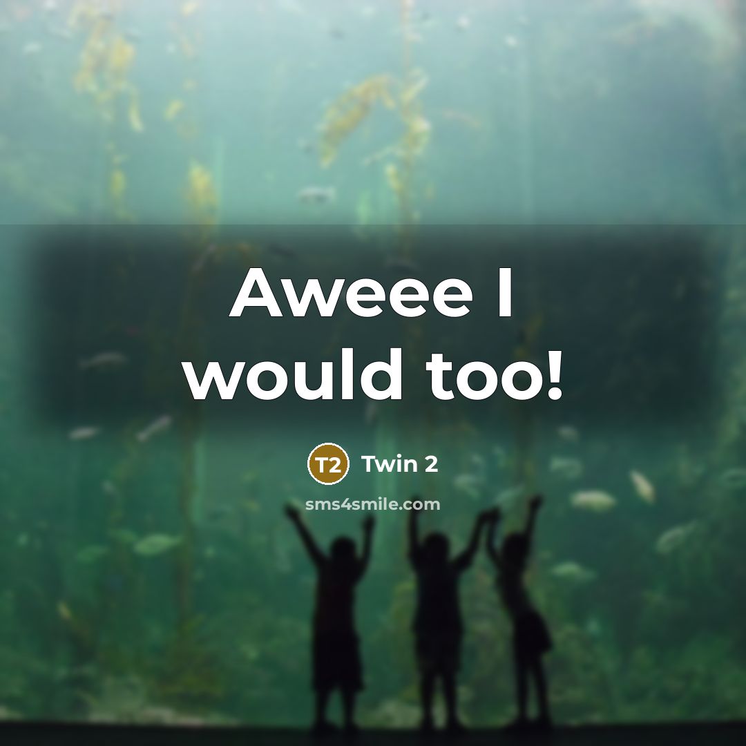 “Aweee I would too!” quote by Twin 2