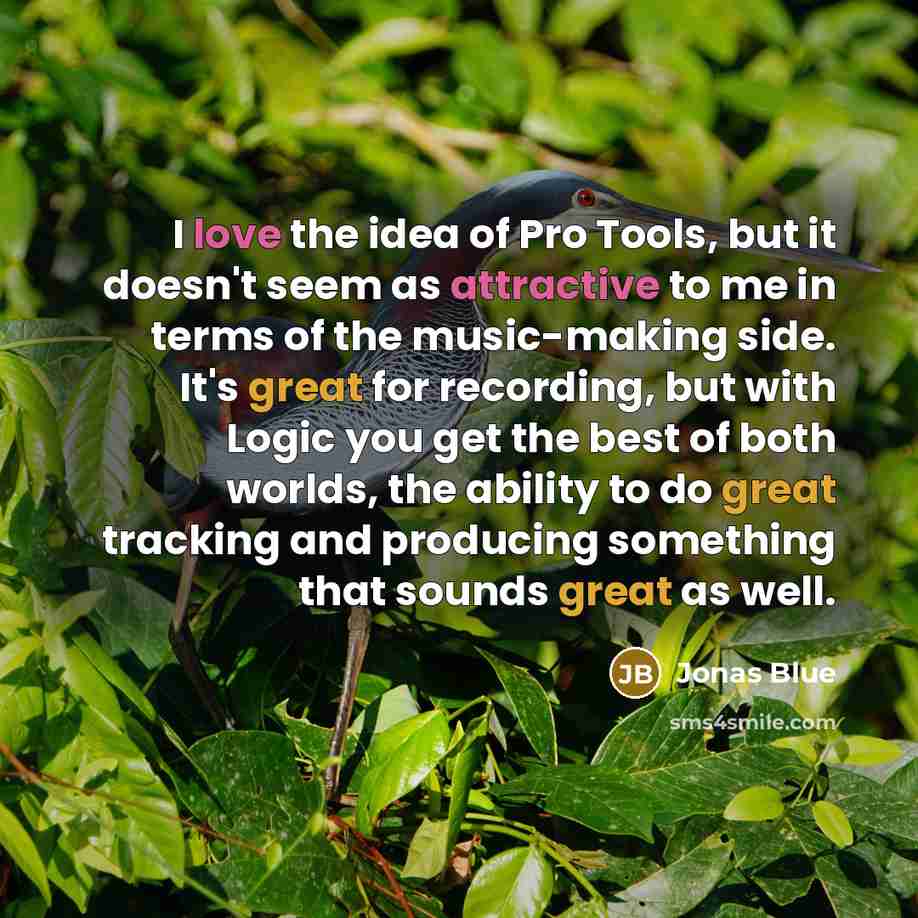 “I love the idea of Pro Tools, but it doesn't seem as attractive to me in terms of the music-making side. It's great for recording, but with Logic you get the best of both worlds, the ability to do great tracking and producing something that sounds great as well.” quote by Jonas Blue