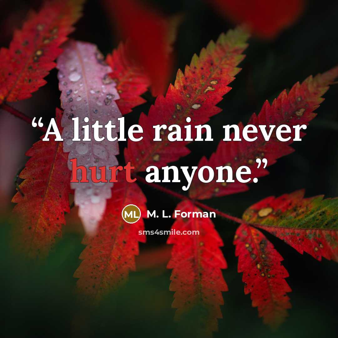 “A little rain never hurt anyone.” quote by M. L. Forman