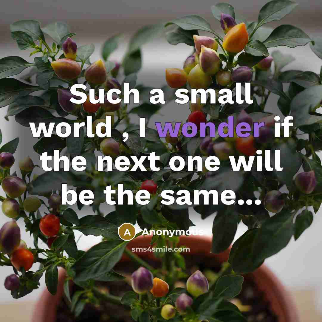 “Such a small world , I wonder if the next one will be the same...” quote by Anonymous