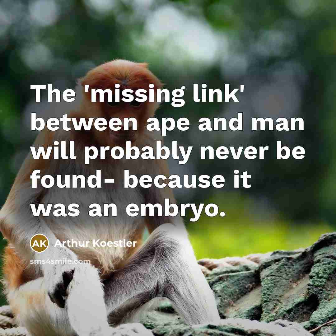 “The 'missing link' between ape and man will probably never be found- because it was an embryo.” quote by Arthur Koestler