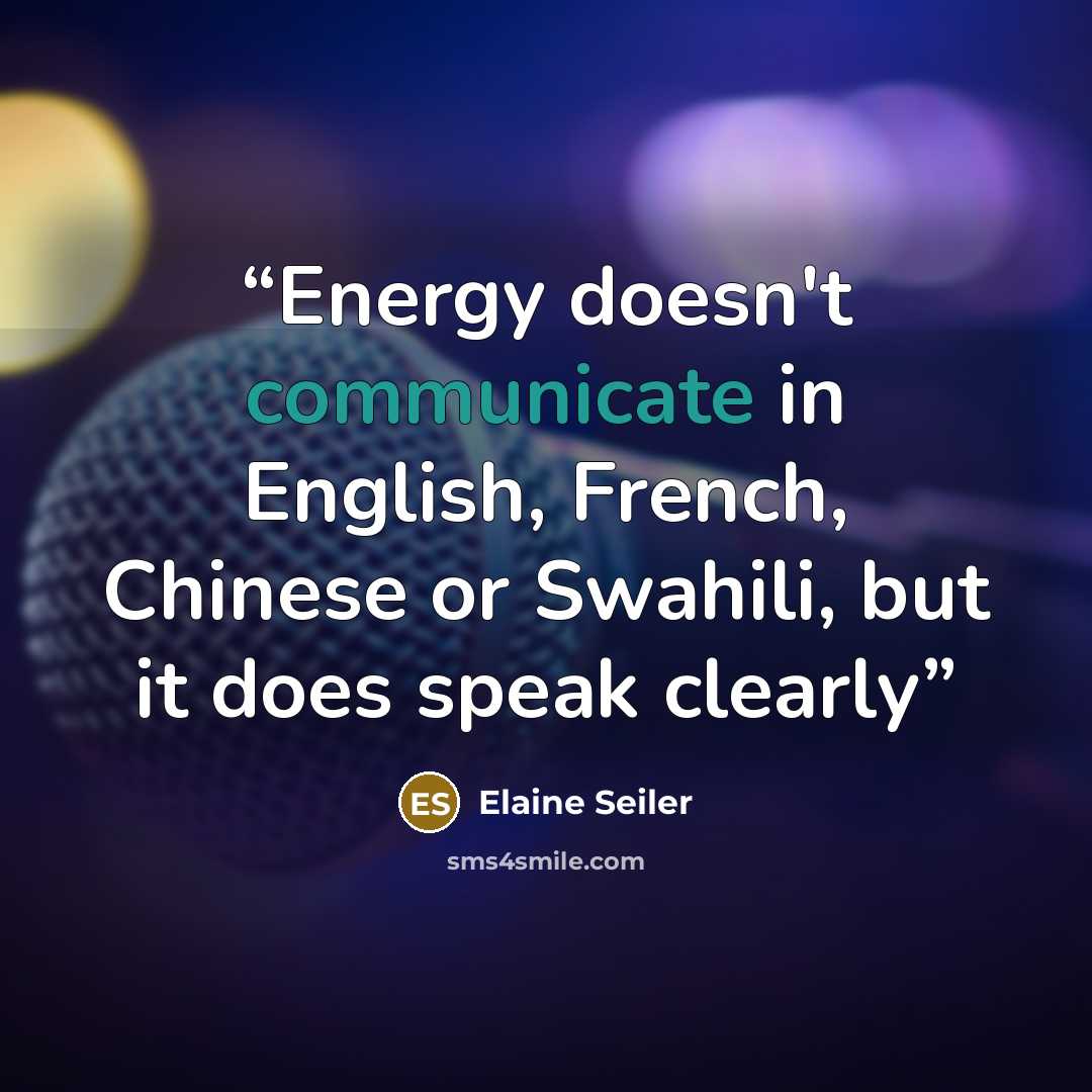“Energy doesn't communicate in English, French, Chinese or Swahili, but it does speak clearly” quote by Elaine Seiler