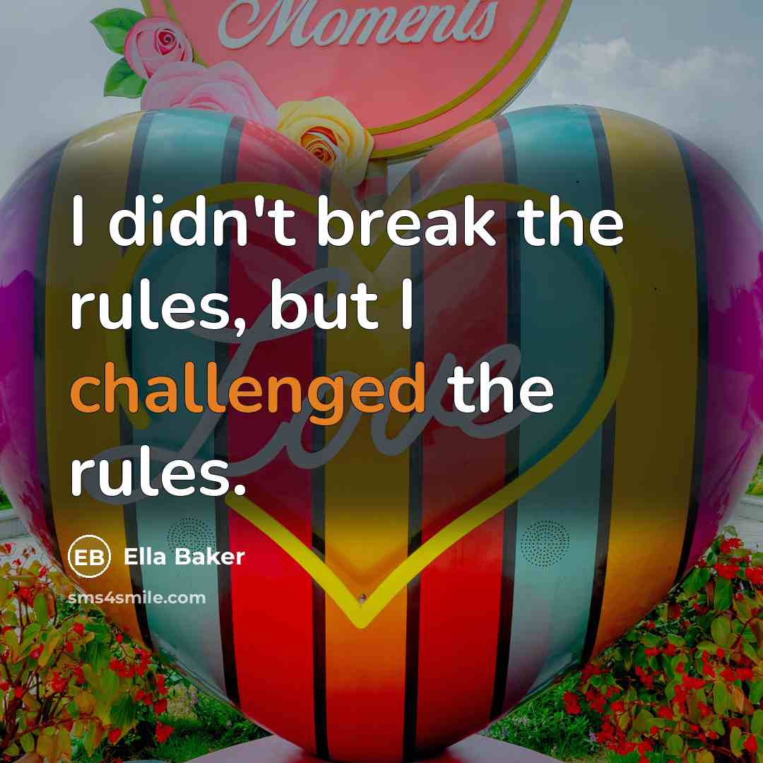“I didn't break the rules, but I challenged the rules.” quote by Ella Baker