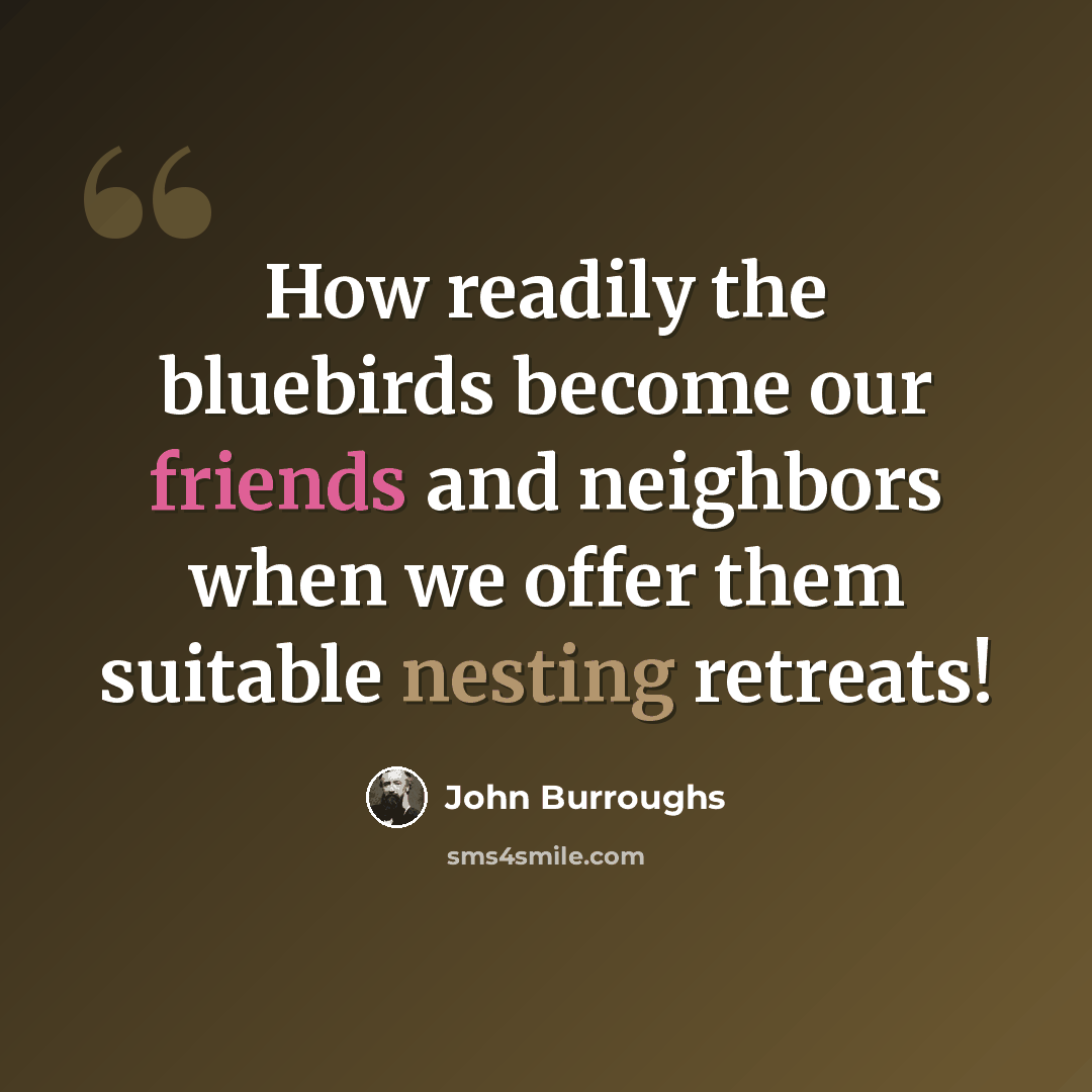 “How readily the bluebirds become our friends and neighbors when we offer them suitable nesting retreats!” quote by John Burroughs