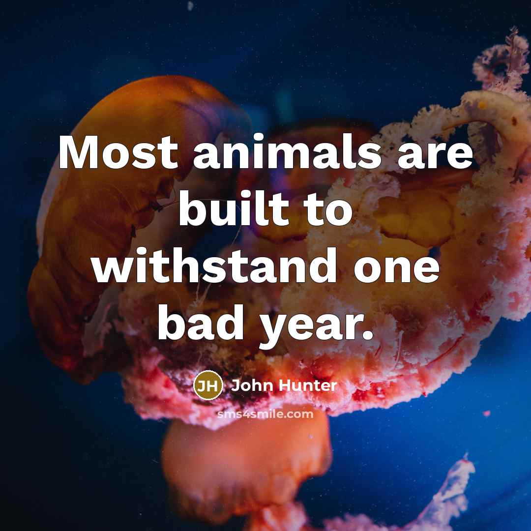 “Most animals are built to withstand one bad year.” quote by John Hunter
