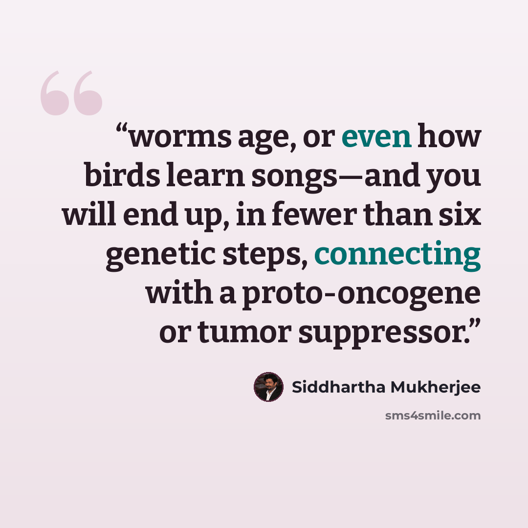 “worms age, or even how birds learn songs—and you will end up, in fewer than six genetic steps, connecting with a proto-oncogene or tumor suppressor.” quote by Siddhartha Mukherjee