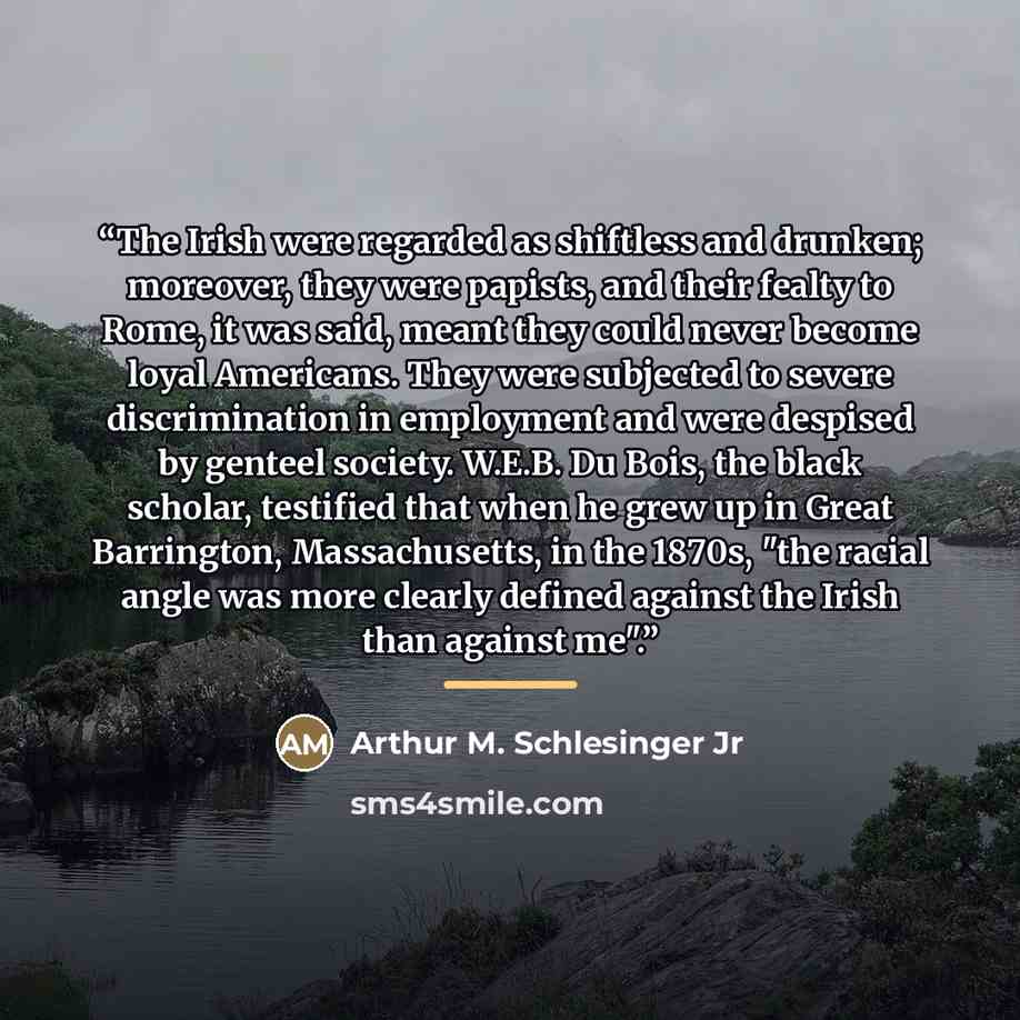 “The Irish were regarded as shiftless and drunken; moreover, they were papists, and their fealty to Rome, it was said, meant they could never become loyal Americans. They were subjected to severe discrimination in employment and were despised by genteel society. W.E.B. Du Bois, the black scholar…” quote by Arthur M. Schlesinger Jr