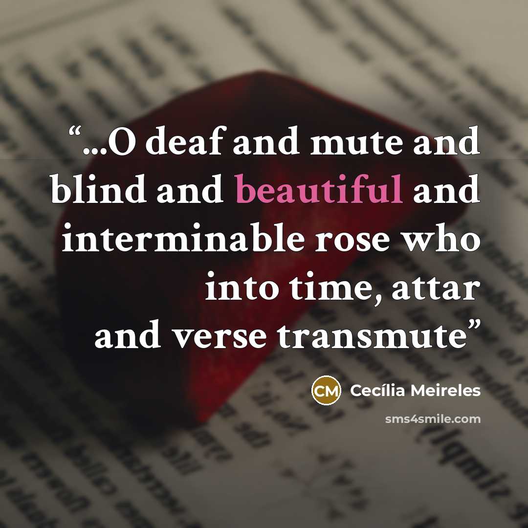 “...O deaf and mute and blind and beautiful and interminable rose who into time, attar and verse transmute” quote by Cecilia Meireles