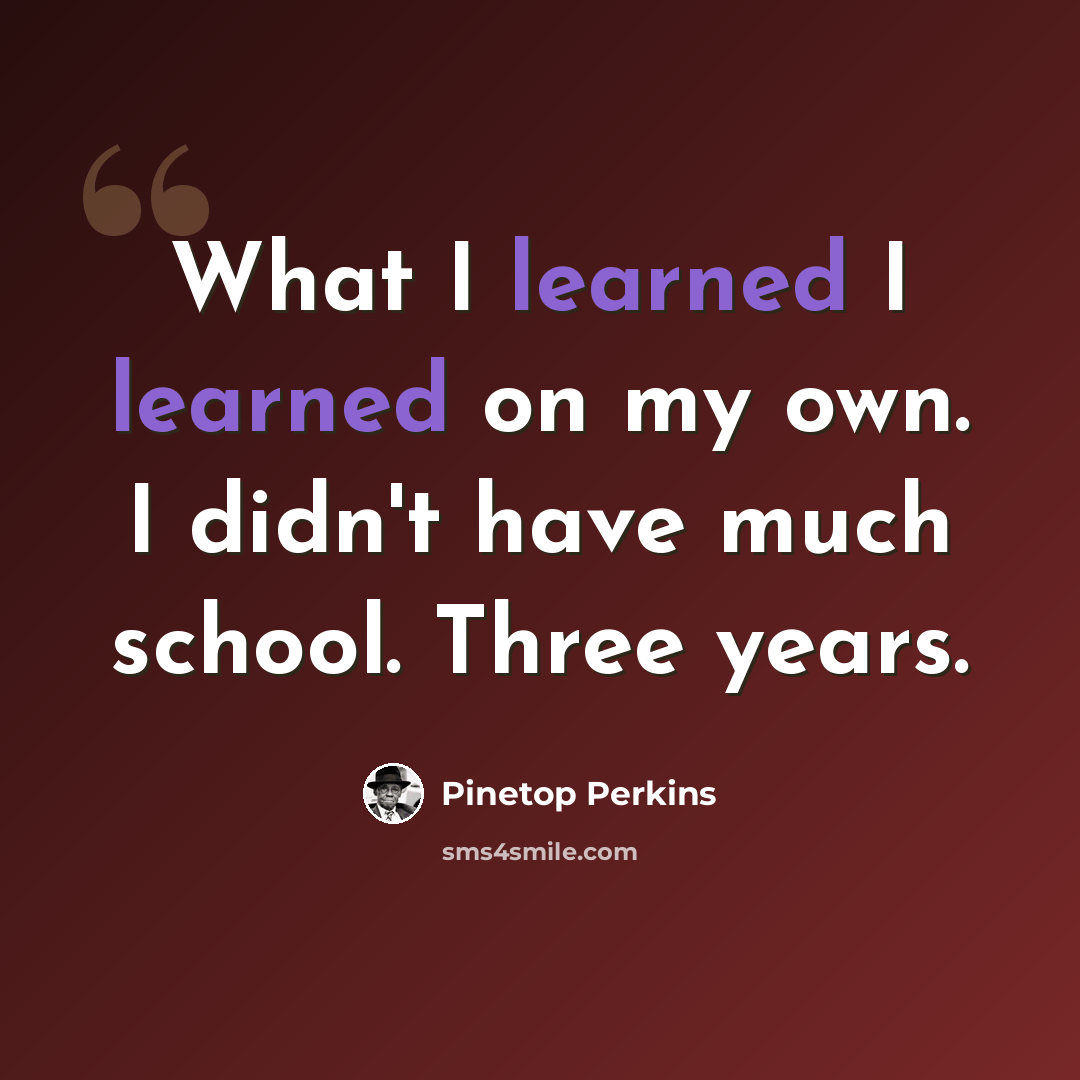 “What I learned I learned on my own. I didn't have much school. Three years.” quote by Pinetop Perkins