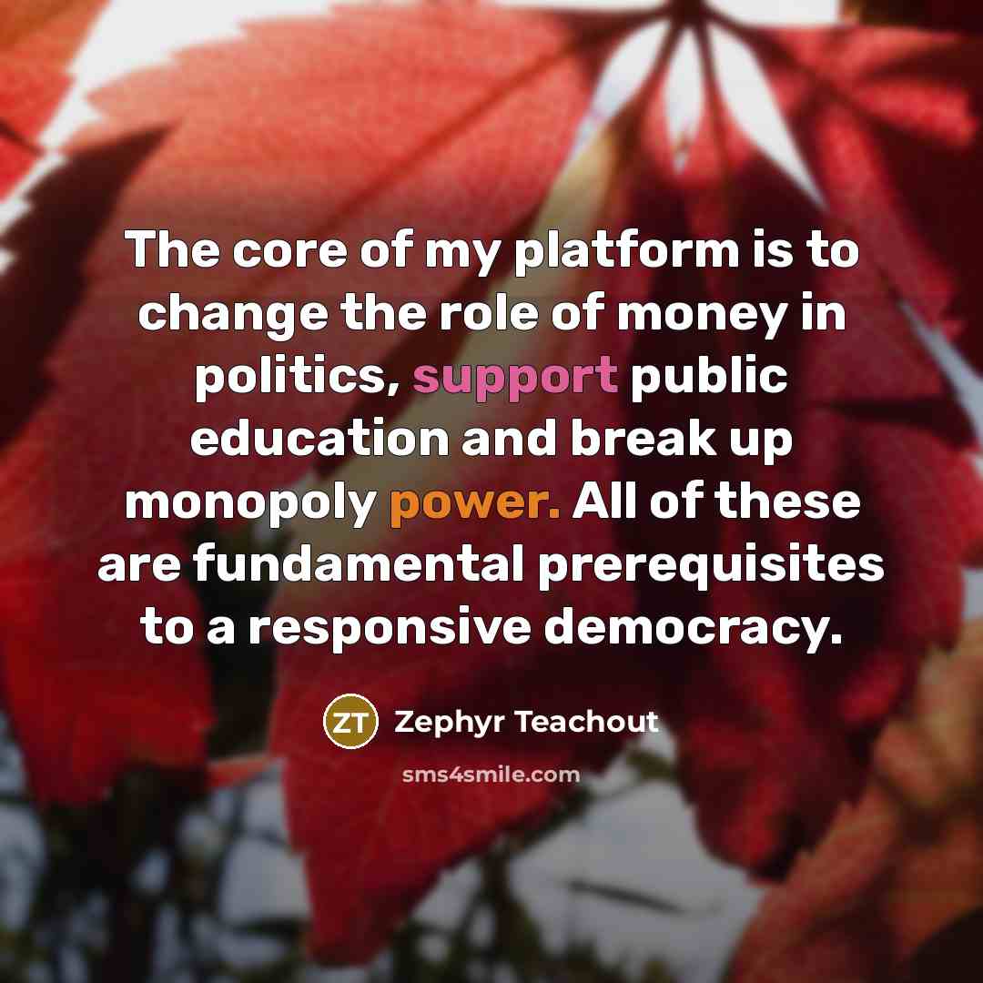“The core of my platform is to change the role of money in politics, support public education and break up monopoly power. All of these are fundamental prerequisites to a responsive democracy.” quote by Zephyr Teachout