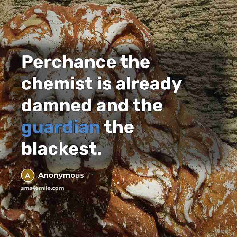 “Perchance the chemist is already damned and the guardian the blackest.” quote by Anonymous