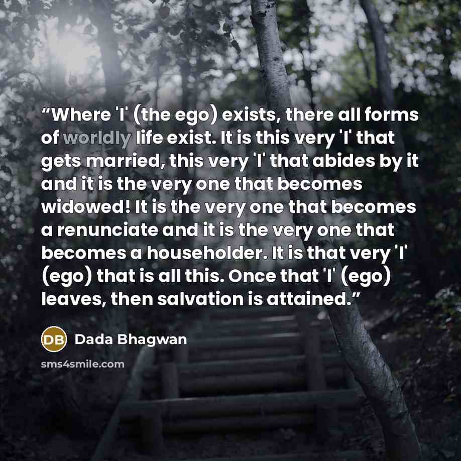 “Where 'I' (the ego) exists, there all forms of worldly life exist. It is this very 'I' that gets married, this very 'I' that abides by it and it is the very one that becomes widowed! It is the very one that becomes a renunciate and it is the very one that becomes a householder. It is that very 'I'…” quote by Dada Bhagwan
