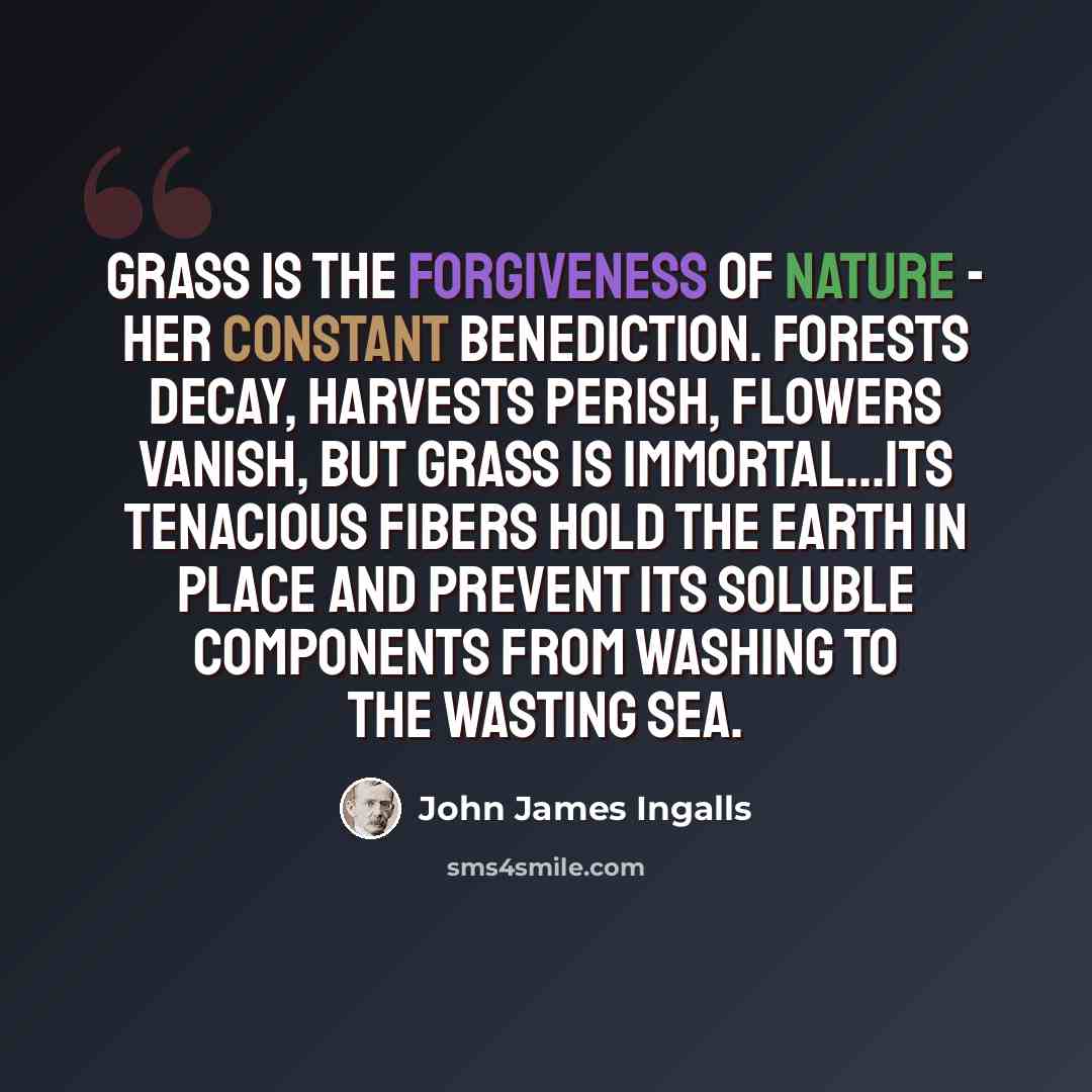 “Grass is the forgiveness of nature - her constant benediction. Forests decay, harvests perish, flowers vanish, but grass is immortal...Its tenacious fibers hold the earth in place and prevent its soluble components from washing to the wasting sea.” quote by John James Ingalls