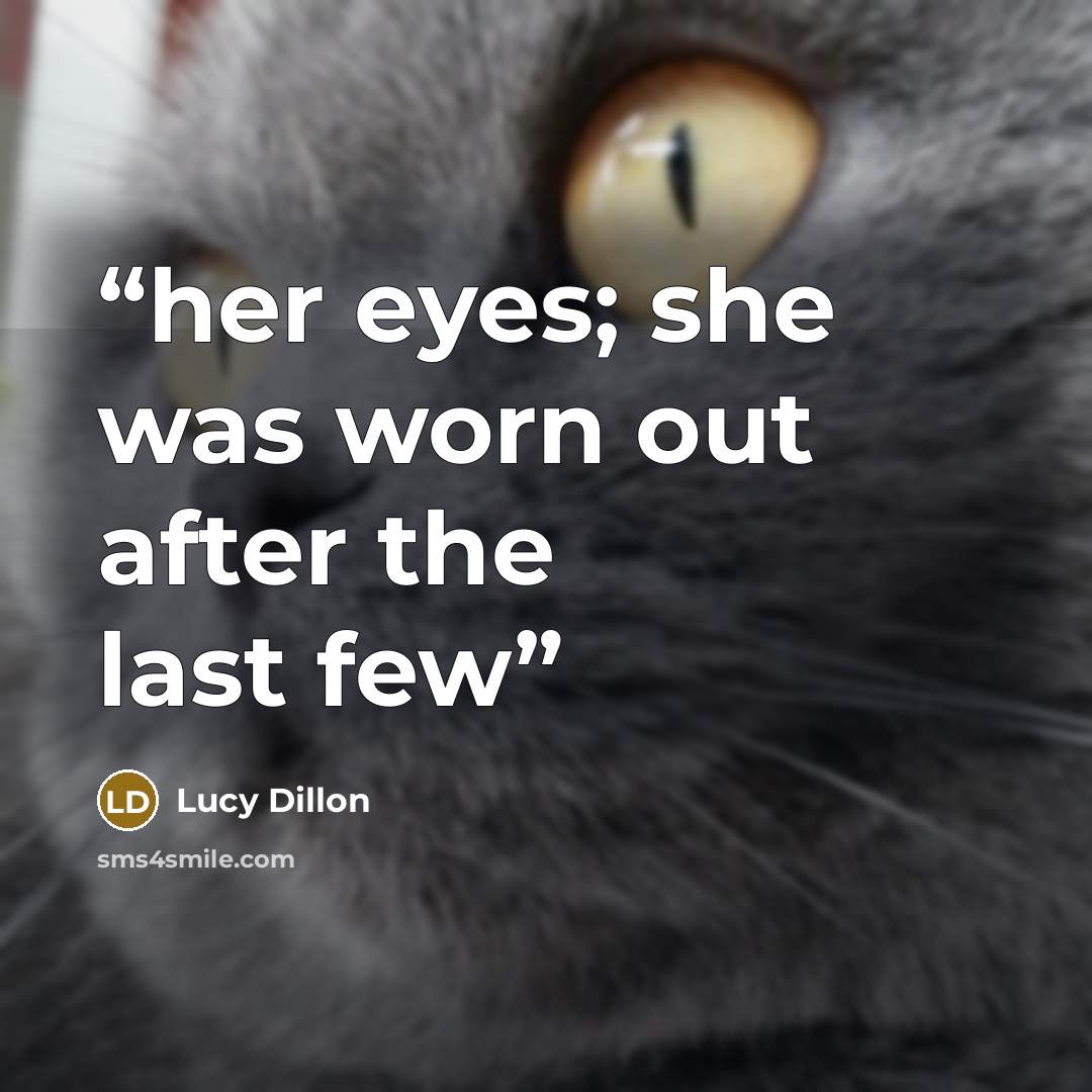 “her eyes; she was worn out after the last few” quote by Lucy Dillon