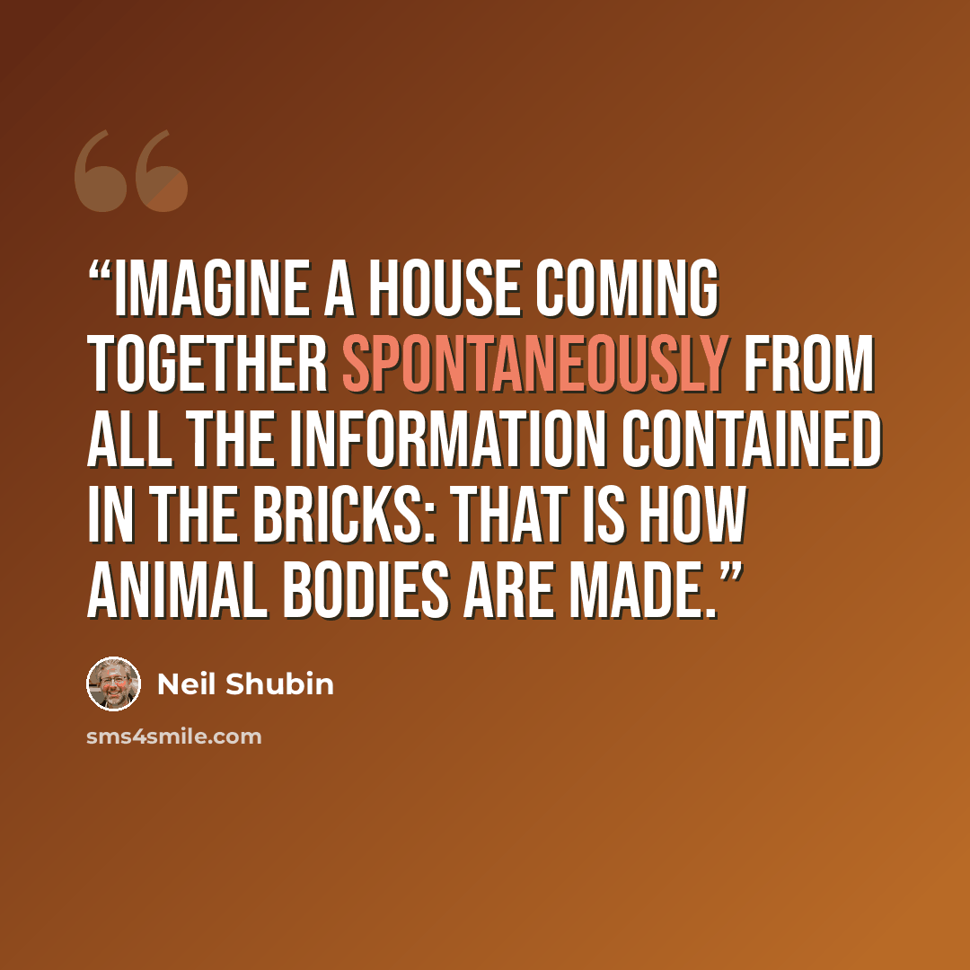 “Imagine a house coming together spontaneously from all the information contained in the bricks: that is how animal bodies are made.” quote by Neil Shubin
