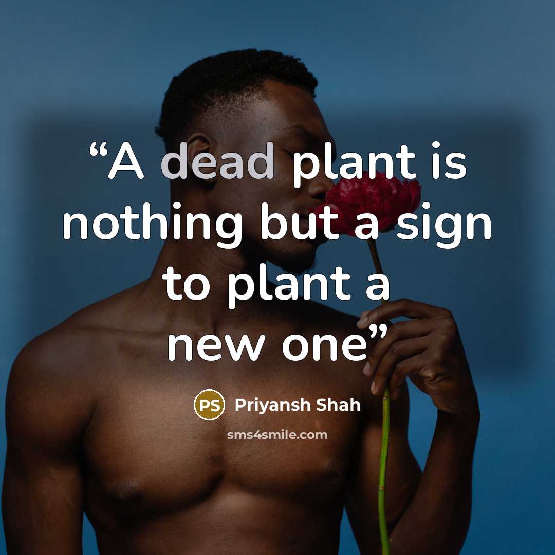 “A dead plant is nothing but a sign to plant a new one” quote by Priyansh Shah