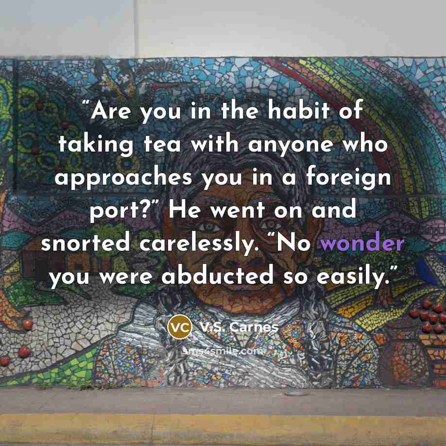 “Are you in the habit of taking tea with anyone who approaches you in a foreign port?” He went on and snorted carelessly. “No wonder you were abducted so easily.” quote by V.S. Carnes