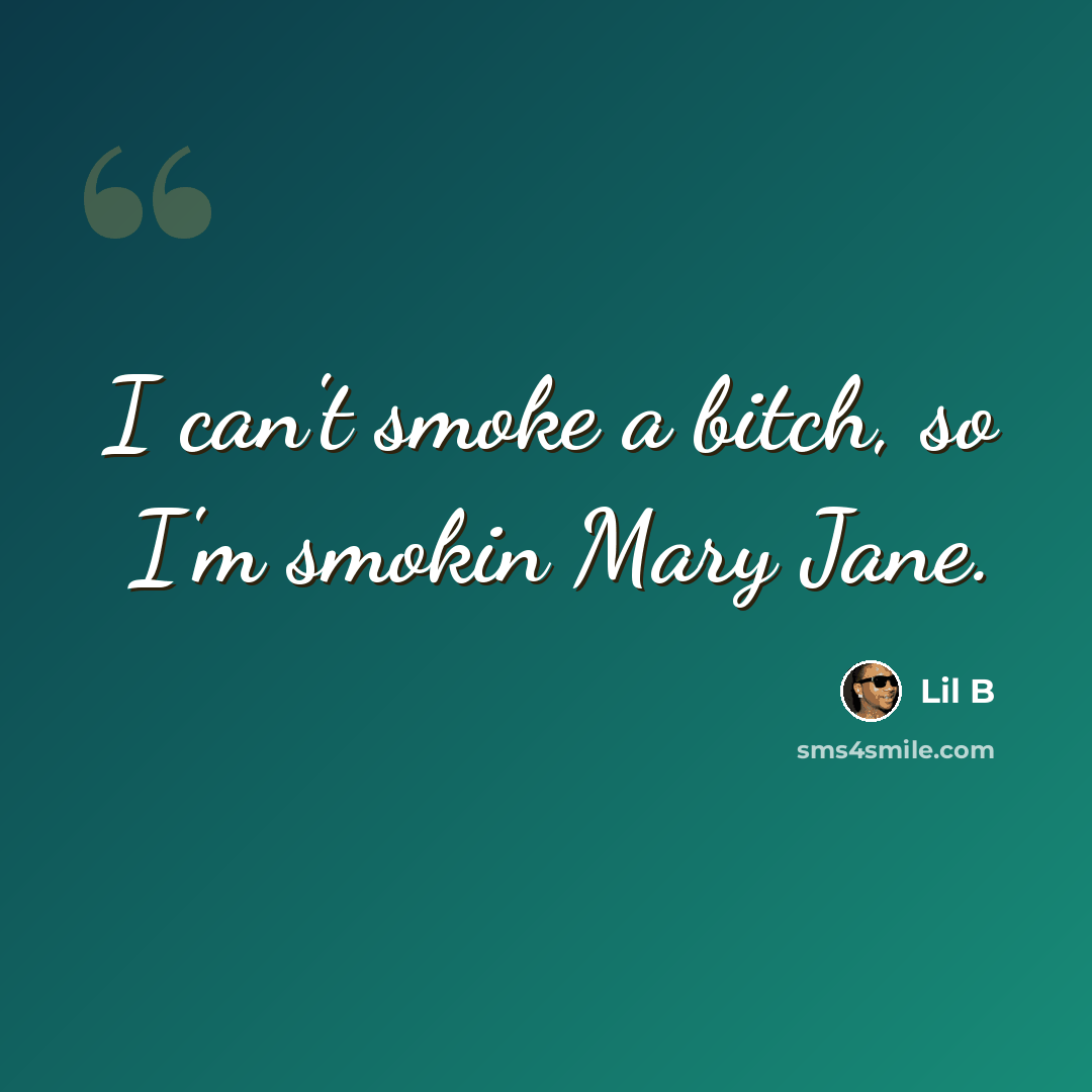 “I can't smoke a bitch, so I'm smokin Mary Jane.” quote by Lil B
