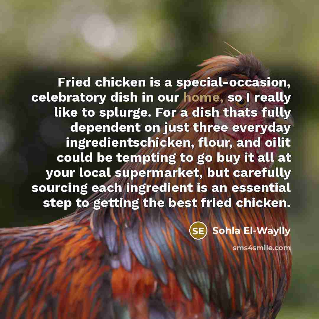 “Fried chicken is a special-occasion, celebratory dish in our home, so I really like to splurge. For a dish thats fully dependent on just three everyday ingredientschicken, flour, and oilit could be tempting to go buy it all at your local supermarket, but carefully sourcing each ingredient is an…” quote by Sohla El-Waylly