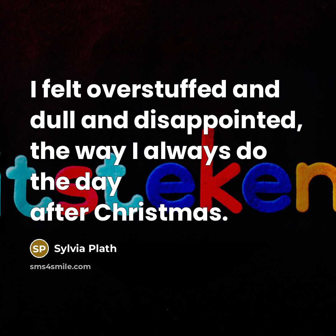 “I felt overstuffed and dull and disappointed, the way I always do the day after Christmas.” quote by Sylvia Plath