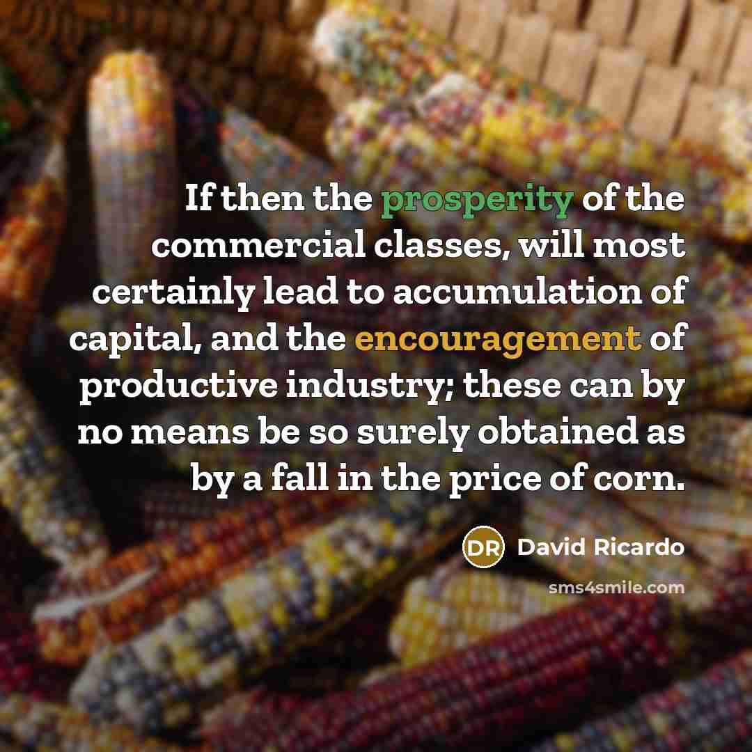 “If then the prosperity of the commercial classes, will most certainly lead to accumulation of capital, and the encouragement of productive industry; these can by no means be so surely obtained as by a fall in the price of corn.” quote by David Ricardo