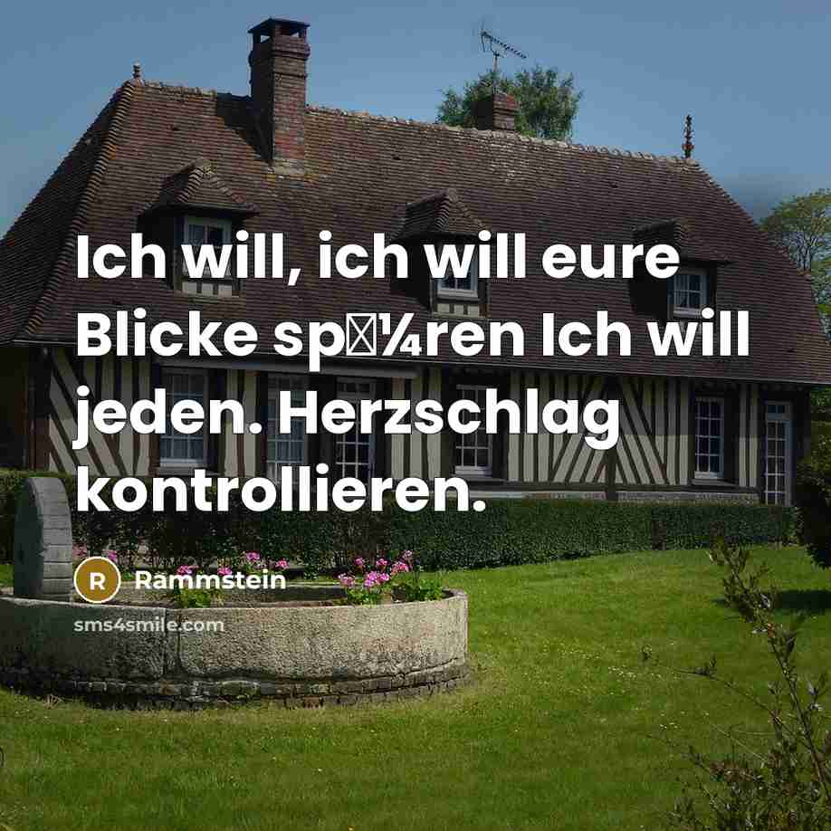 “Ich will, ich will eure Blicke sp�¼ren Ich will jeden. Herzschlag kontrollieren.” quote by Rammstein