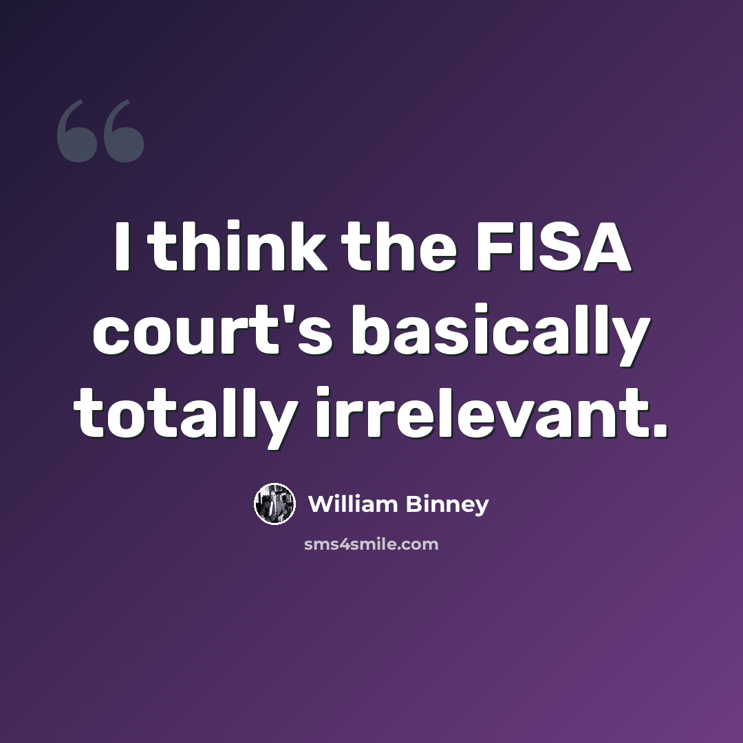 “I think the FISA court's basically totally irrelevant.” quote by William Binney