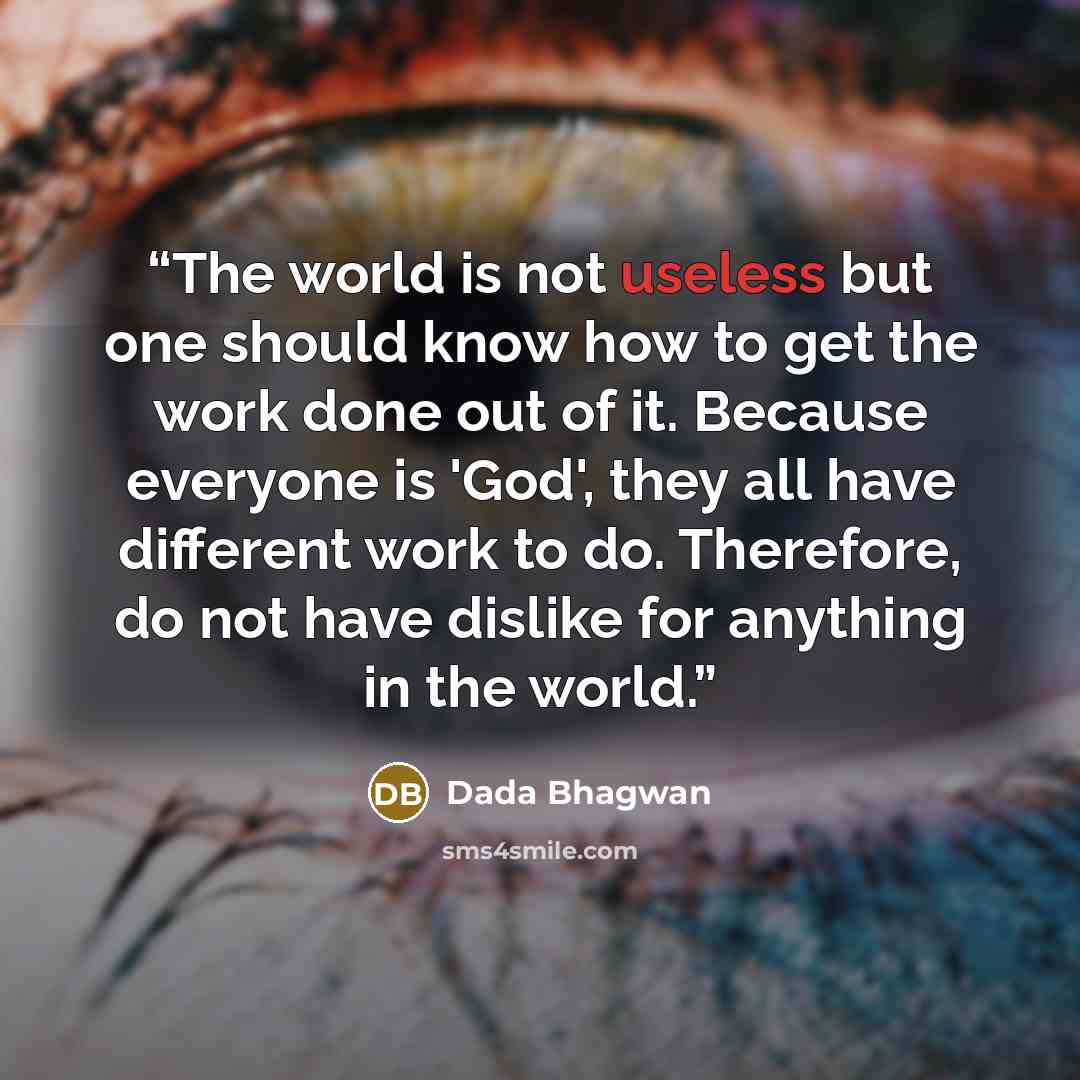 “The world is not useless but one should know how to get the work done out of it. Because everyone is 'God', they all have different work to do. Therefore, do not have dislike for anything in the world.” quote by Dada Bhagwan