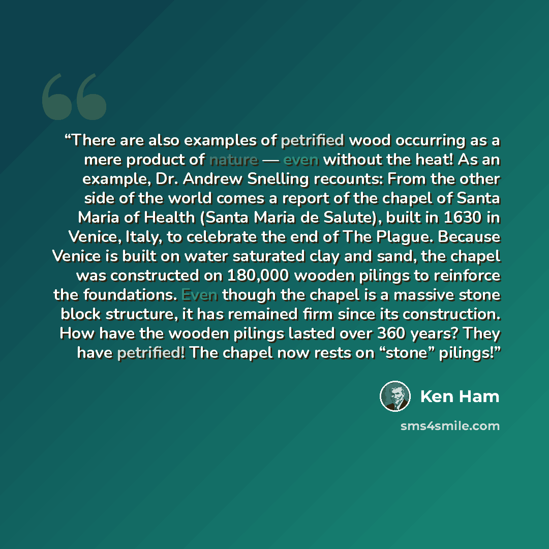“There are also examples of petrified wood occurring as a mere product of nature — even without the heat! As an example, Dr. Andrew Snelling recounts: From the other side of the world comes a report of the chapel of Santa Maria of Health (Santa Maria de Salute), built in 1630 in Venice, Italy, to…” quote by Ken Ham