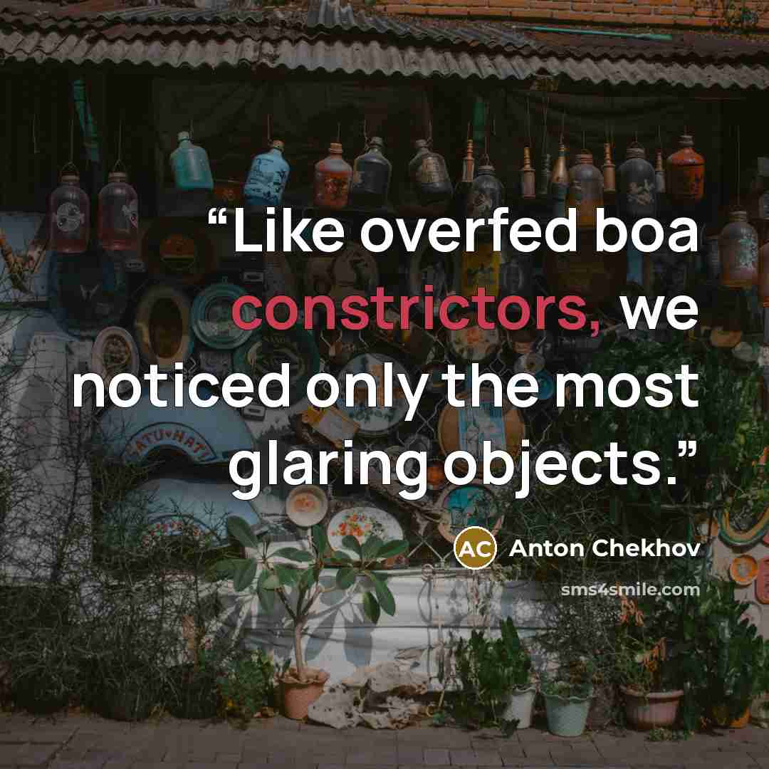 “Like overfed boa constrictors, we noticed only the most glaring objects.” quote by Anton Chekhov