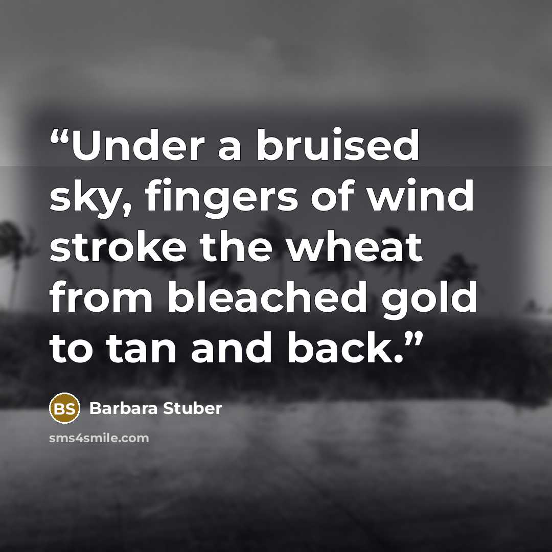 “Under a bruised sky, fingers of wind stroke the wheat from bleached gold to tan and back.” quote by Barbara Stuber