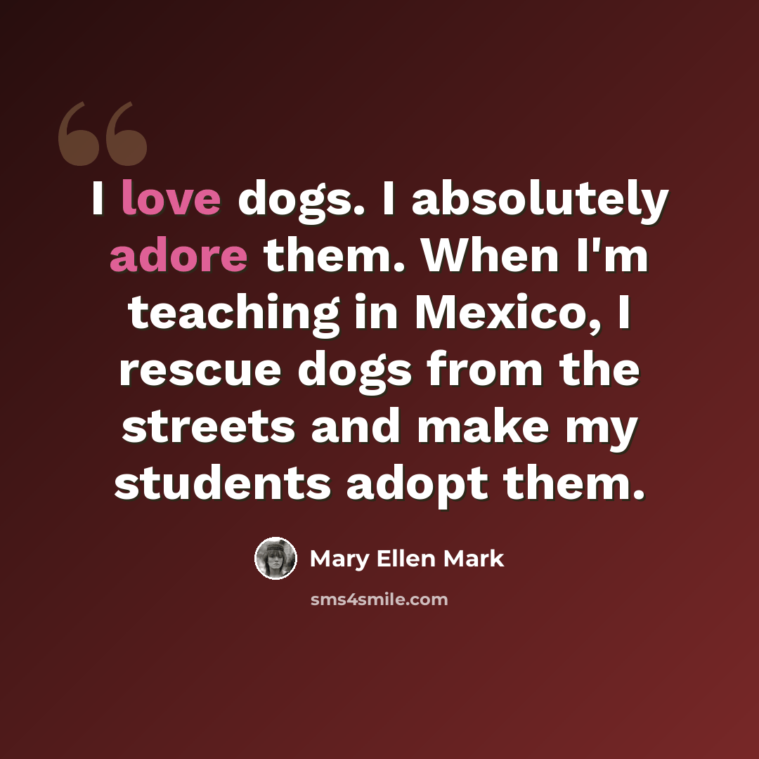 “I love dogs. I absolutely adore them. When I'm teaching in Mexico, I rescue dogs from the streets and make my students adopt them.” quote by Mary Ellen Mark