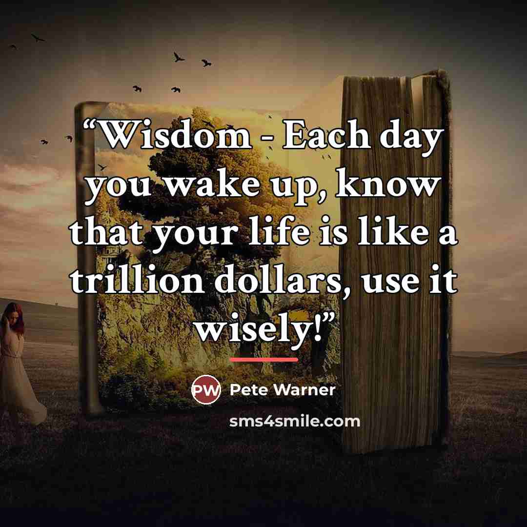 “Wisdom - Each day you wake up, know that your life is like a trillion dollars, use it wisely!” quote by Pete Warner