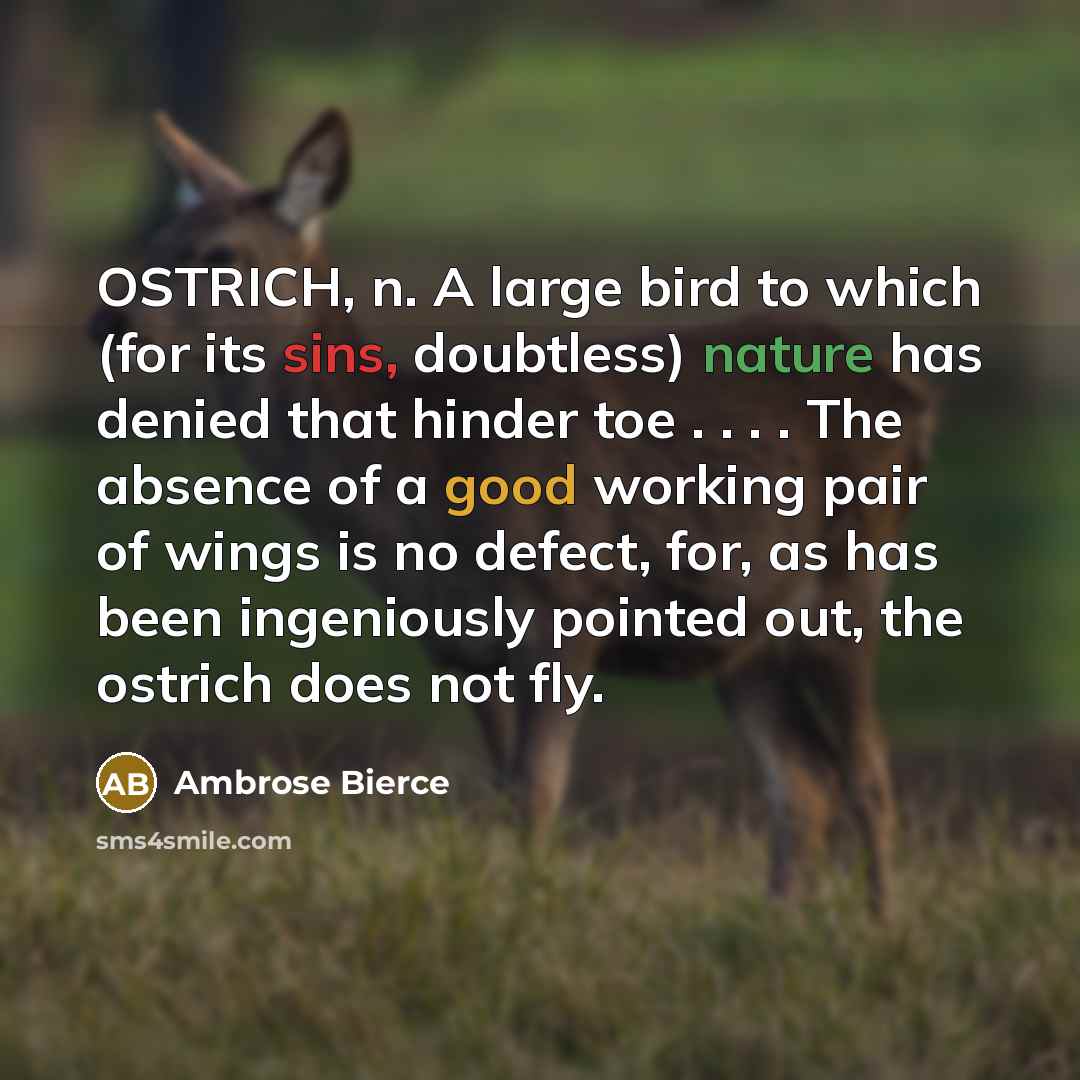 “OSTRICH, n. A large bird to which (for its sins, doubtless) nature has denied that hinder toe . . . . The absence of a good working pair of wings is no defect, for, as has been ingeniously pointed out, the ostrich does not fly.” quote by Ambrose Bierce