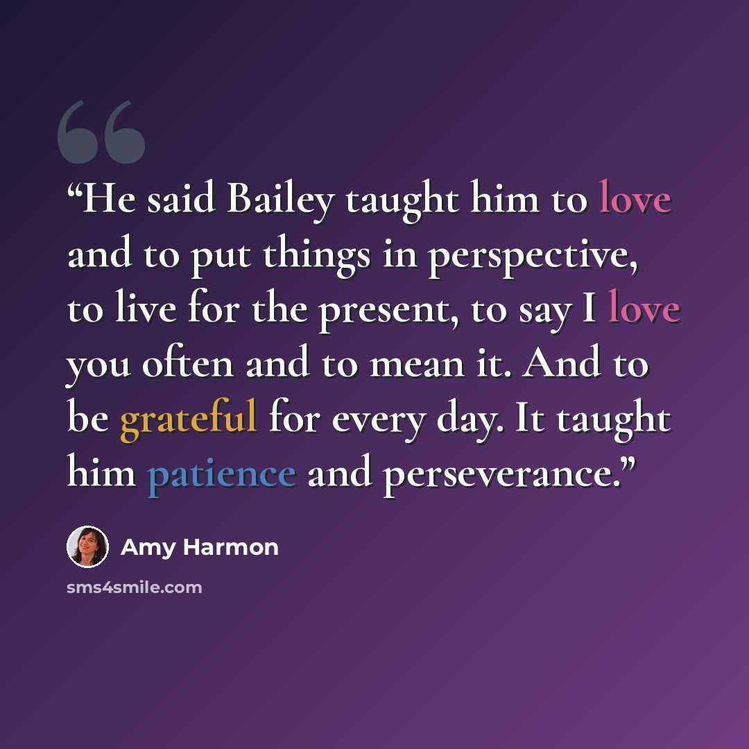 “He said Bailey taught him to love and to put things in perspective, to live for the present, to say I love you often and to mean it. And to be grateful for every day. It taught him patience and perseverance.” quote by Amy Harmon