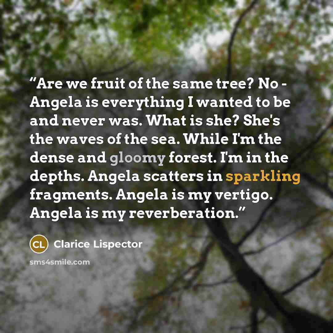 “Are we fruit of the same tree? No - Angela is everything I wanted to be and never was. What is she? She's the waves of the sea. While I'm the dense and gloomy forest. I'm in the depths. Angela scatters in sparkling fragments. Angela is my vertigo. Angela is my reverberation.” quote by Clarice Lispector