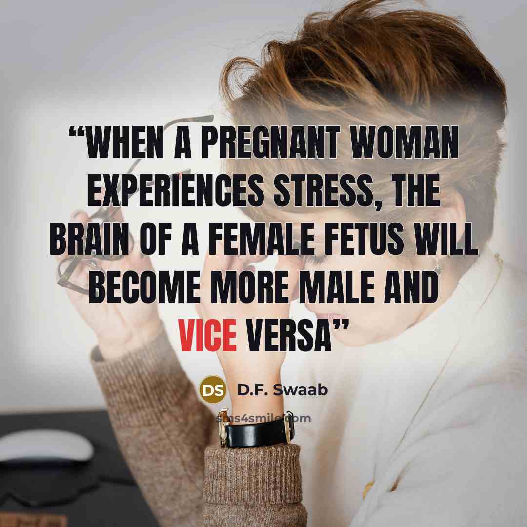 “When a pregnant woman experiences stress, the brain of a female fetus will become more male and vice versa” quote by D.F. Swaab