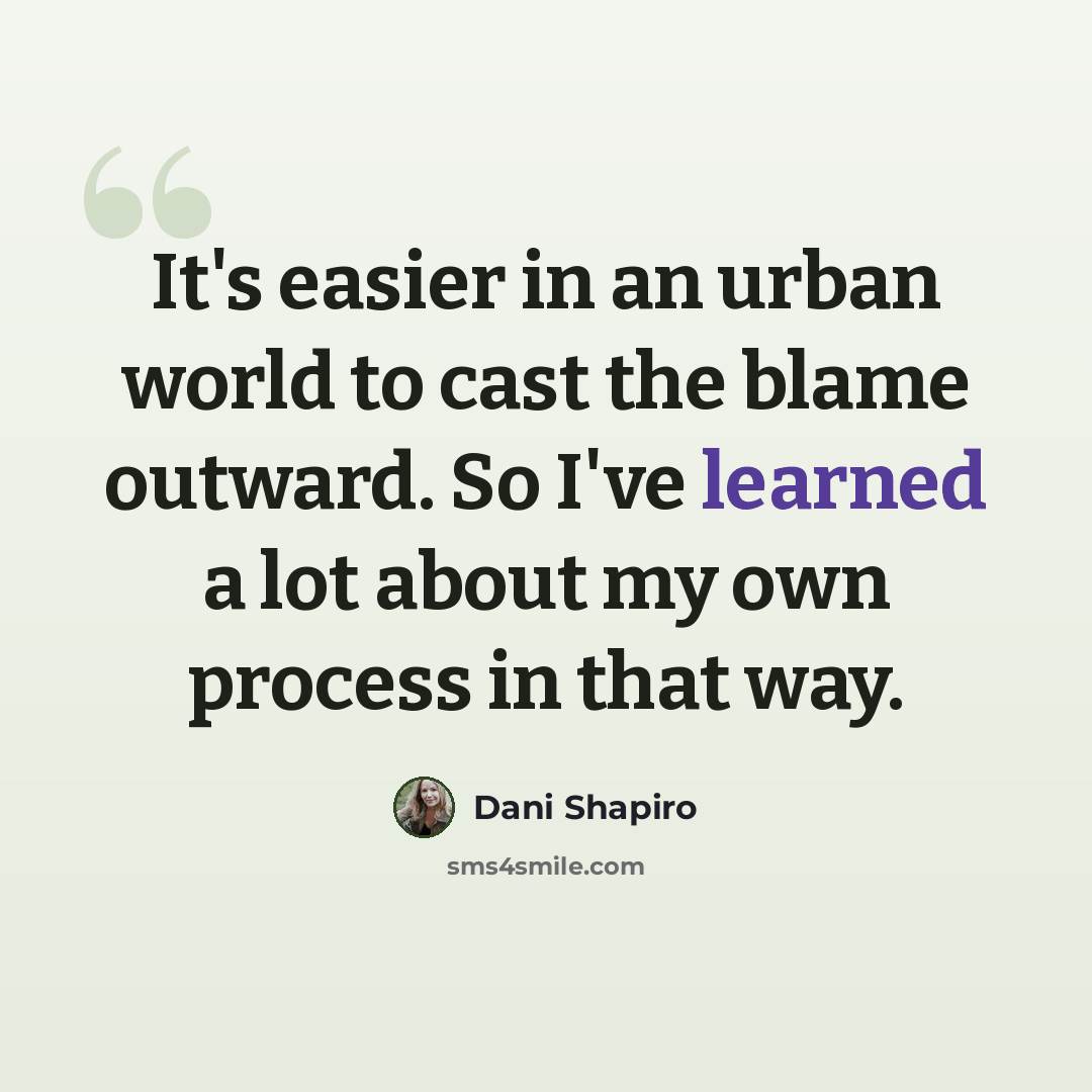 “It's easier in an urban world to cast the blame outward. So I've learned a lot about my own process in that way.” quote by Dani Shapiro