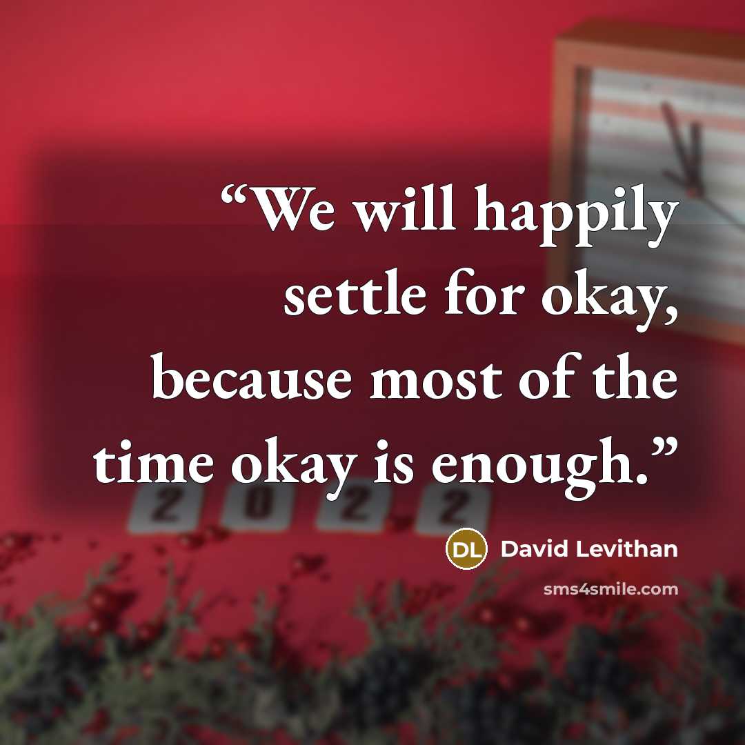 “We will happily settle for okay, because most of the time okay is enough.” quote by David Levithan