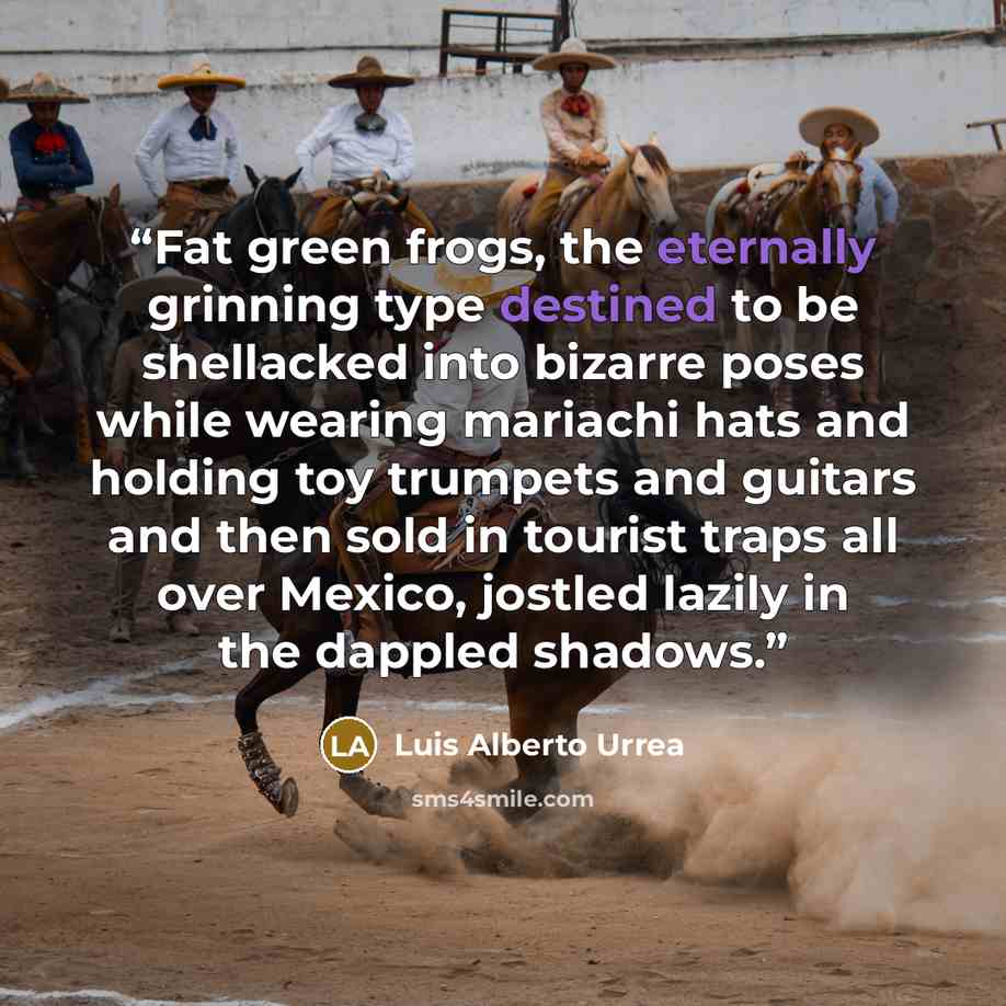 “Fat green frogs, the eternally grinning type destined to be shellacked into bizarre poses while wearing mariachi hats and holding toy trumpets and guitars and then sold in tourist traps all over Mexico, jostled lazily in the dappled shadows.” quote by Luis Alberto Urrea