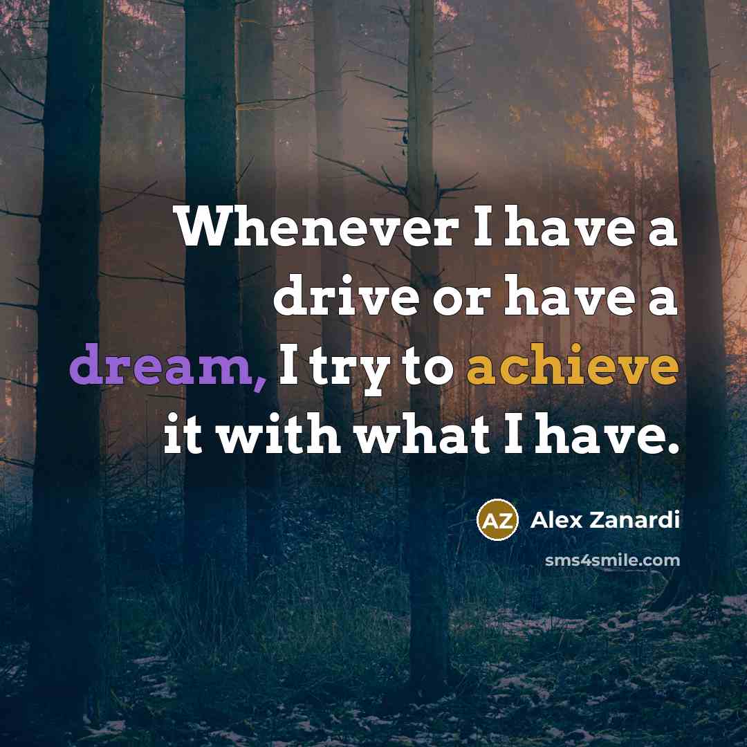“Whenever I have a drive or have a dream, I try to achieve it with what I have.” quote by Alex Zanardi