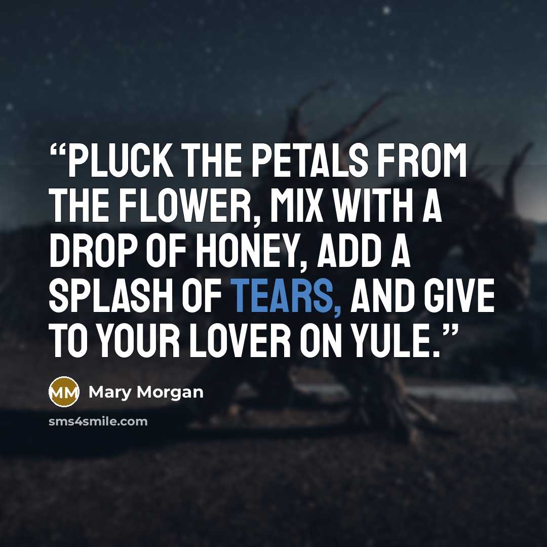 “Pluck the petals from the flower, mix with a drop of honey, add a splash of tears, and give to your lover on Yule.” quote by Mary Morgan