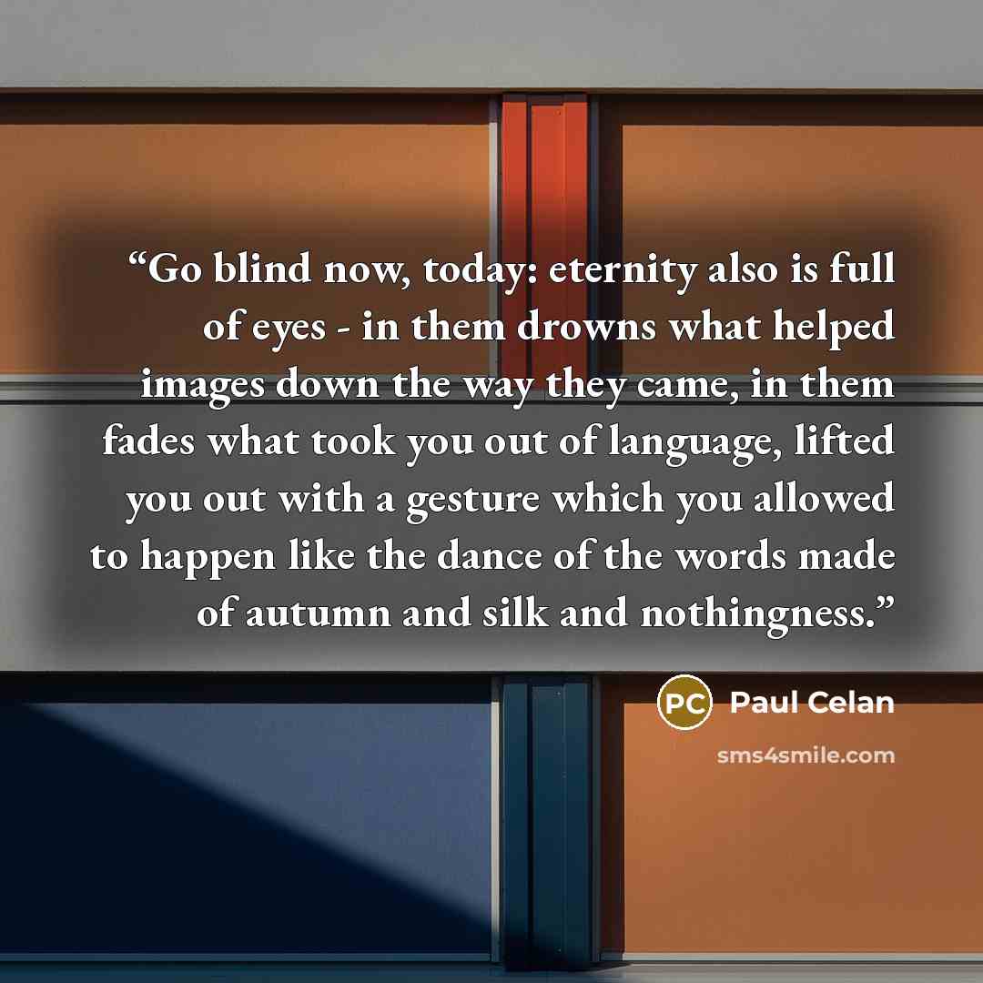 “Go blind now, today: eternity also is full of eyes - in them drowns what helped images down the way they came, in them fades what took you out of language, lifted you out with a gesture which you allowed to happen like the dance of the words made of autumn and silk and nothingness.” quote by Paul Celan